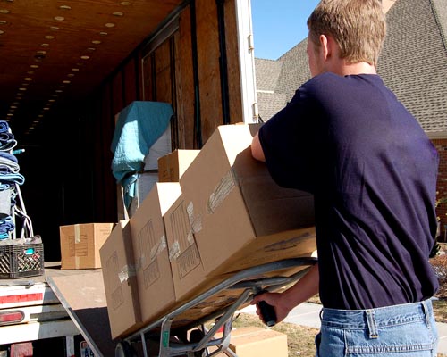 Shree Shyam Packers and Cargo packers and movers