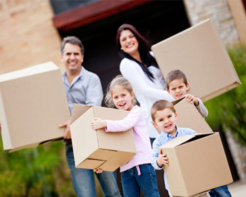 Shree Shyam Packers and Cargo packers and movers